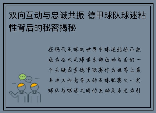 双向互动与忠诚共振 德甲球队球迷粘性背后的秘密揭秘